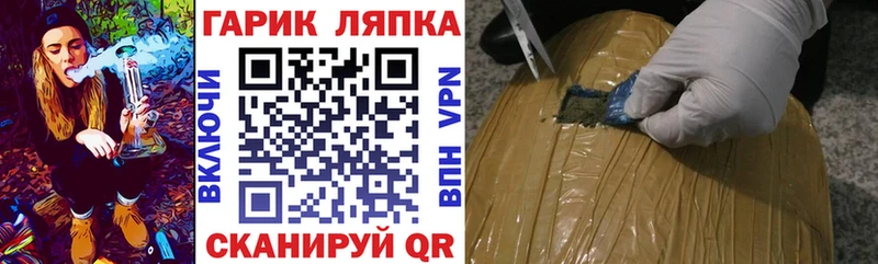 ГАШ Premium  Суздаль 