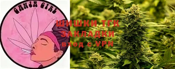 СК Аркадак