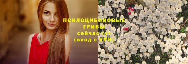 СК Аркадак